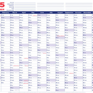 Year Planner 2025