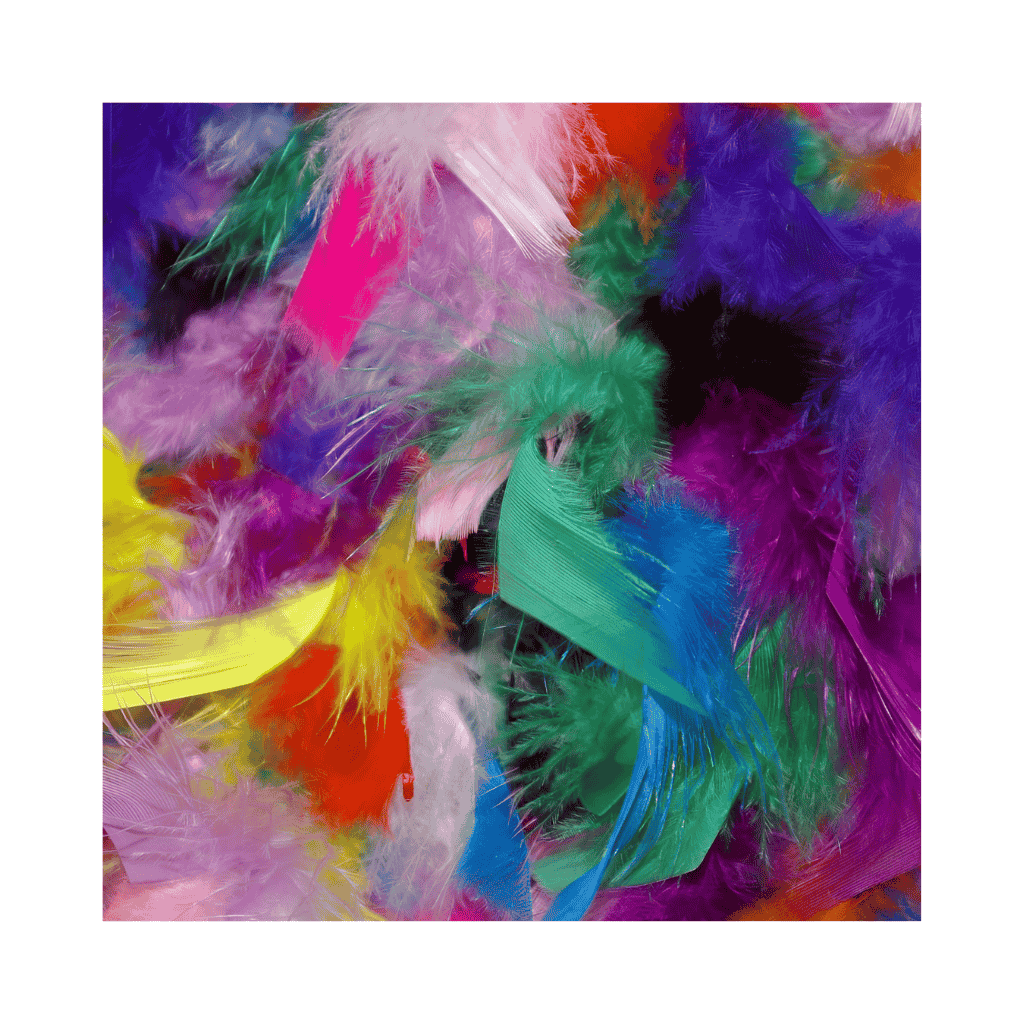 Mixed Feathers 6cm Pack of 50pc & 250pc