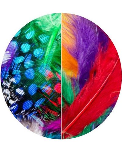Mixed Feathers 15cm Pack of 20pc & 100pc - Image 3