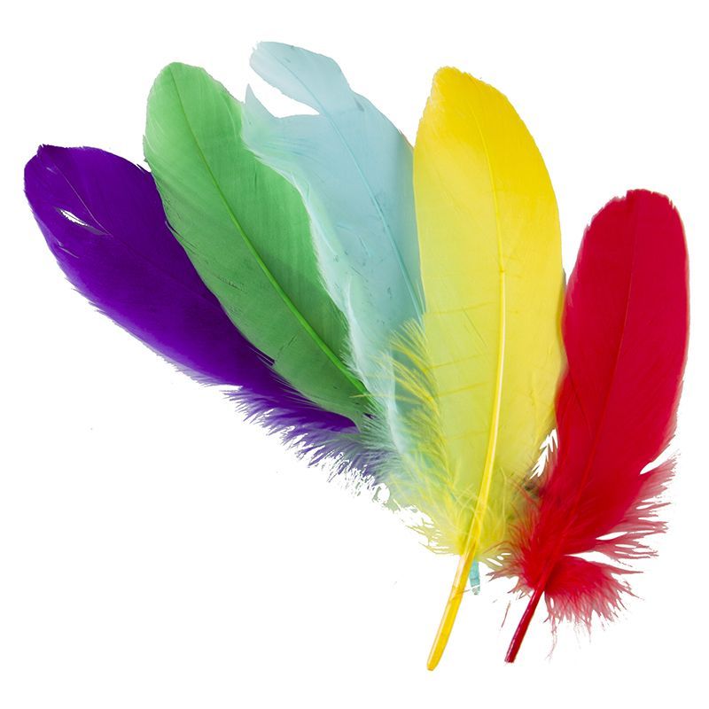 Mixed Feathers 15cm Pack of 20pc & 100pc - Image 2