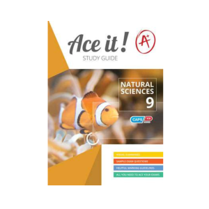 Ace It! Natural  Sciences Grade 9 – 9781920356491