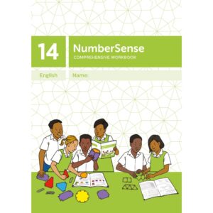 NumberSense Comprehensive Workbook 14