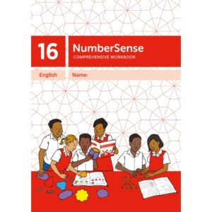 NumberSense Comprehensive Workbook 16