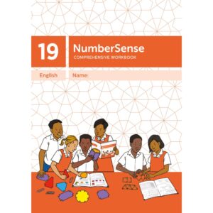 NumberSense Comprehensive Workbook 19