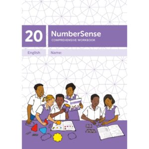 NumberSense Comprehensive Workbook 20