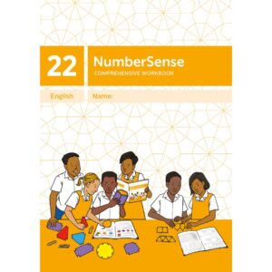 NumberSense Comprehensive Workbook 22