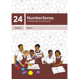 NumberSense Comprehensive Workbook 24