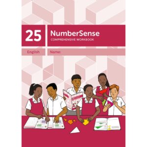 NumberSense Comprehensive Workbook 25