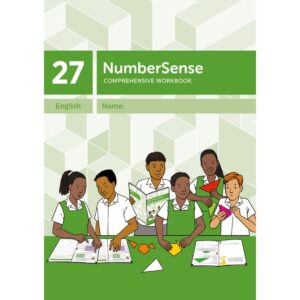 NumberSense Comprehensive Workbook 27
