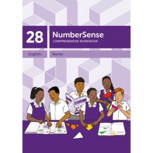 NumberSense Comprehensive Workbook 28