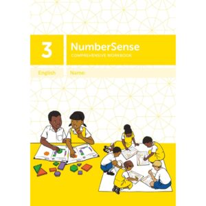 NumberSense Comprehensive Workbook 3