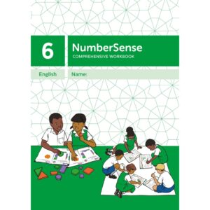 NumberSense Comprehensive Workbook 6